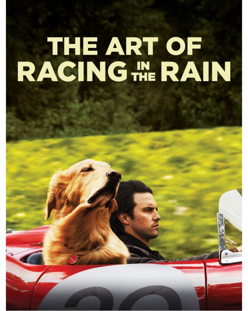 The Art of Racing in the Rain Movie Poster