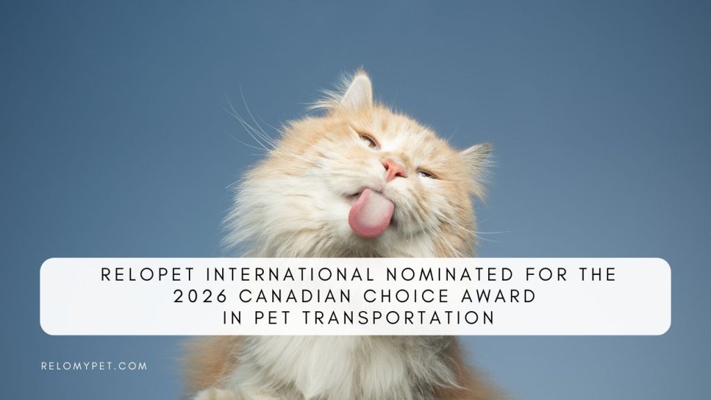 Canadian Choice Award 2026 Nomination for Relopet International. Featured Image