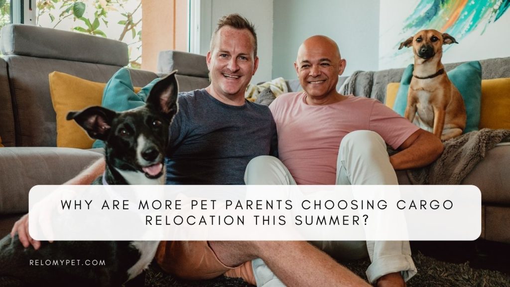 Pet Cargo Relocation Explained. Featured Image