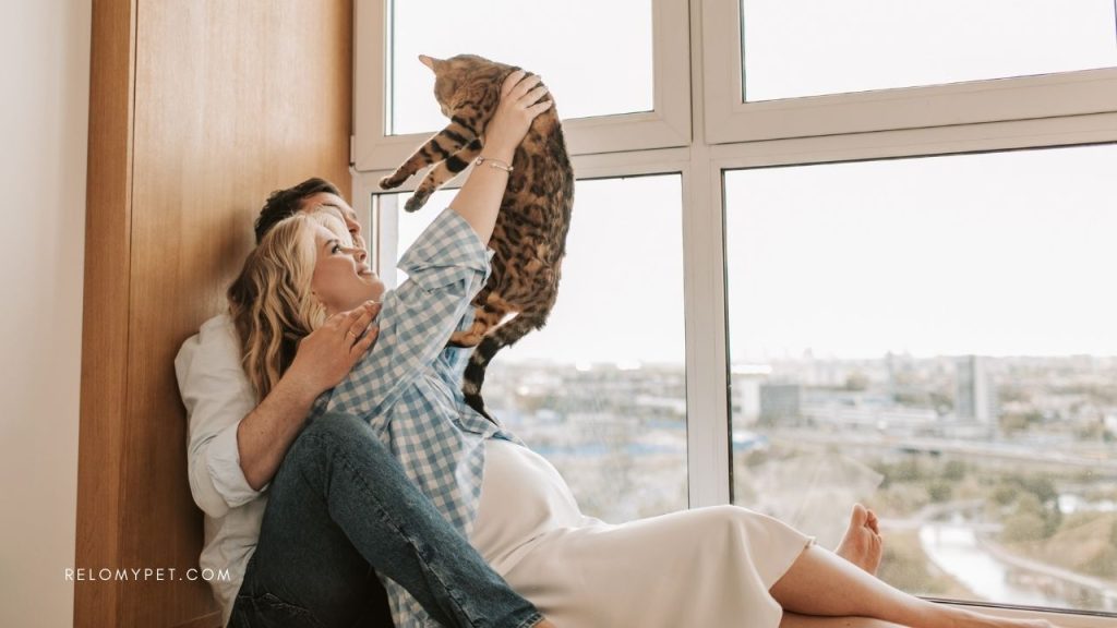Pet parents choose Relopet International