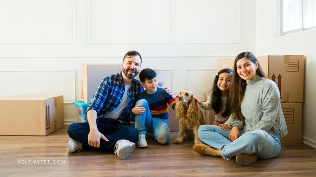 Why parents choose pet cargo relocation