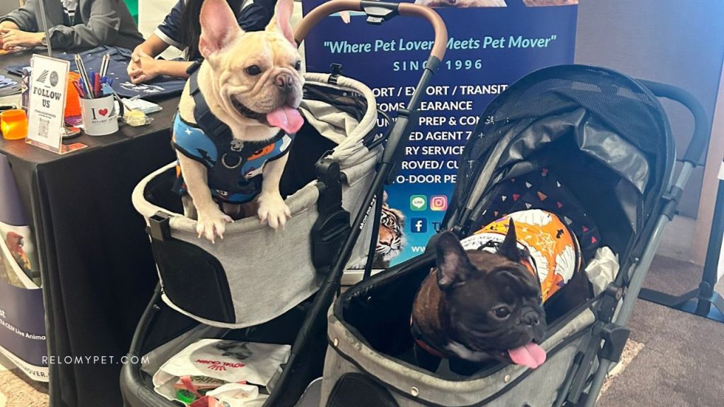 French Bulldogs of Burden Pet Relocation at IPATA Conference