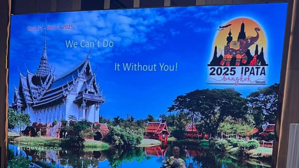 IPATA Conference 2025