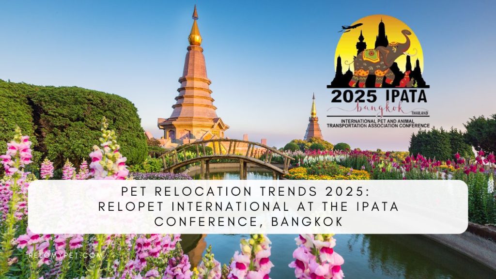 Pet relocation trends 2025 Relopet International at the IPATA Conference. Bangkok. Featured Image
