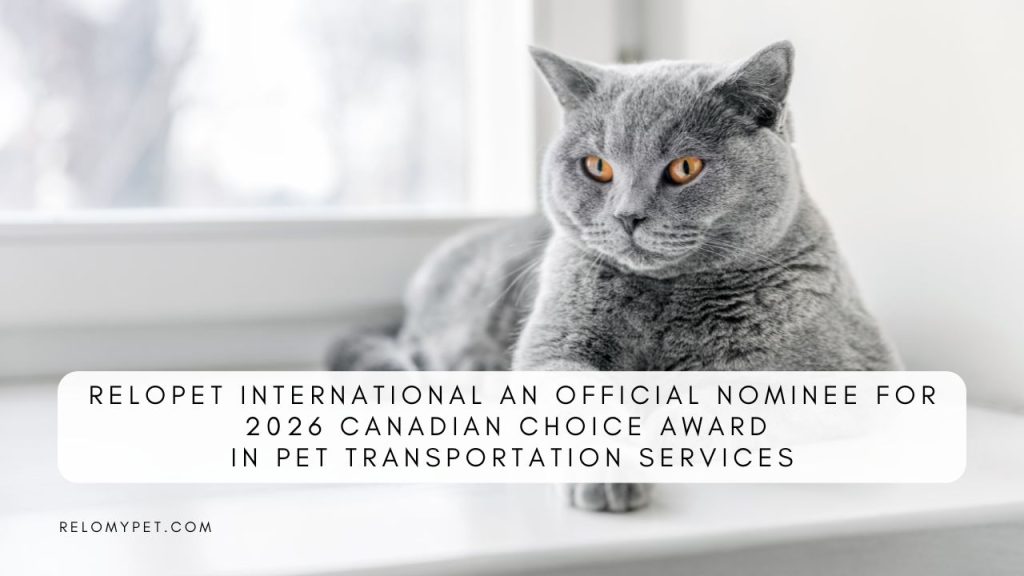 Top Pet Transportation Services Canada 2026 - Relopet International recognized as an official nominee for Canadian Choice Award 2026. Featured Image