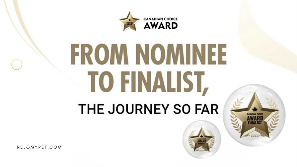 From Nominee to Finalist, The Journey So Far