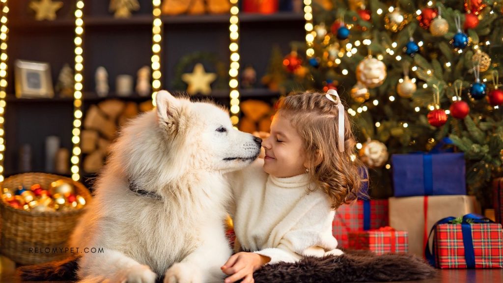 Recognized, Trusted, and Growing: Relopet International’s 2025 Year in Review