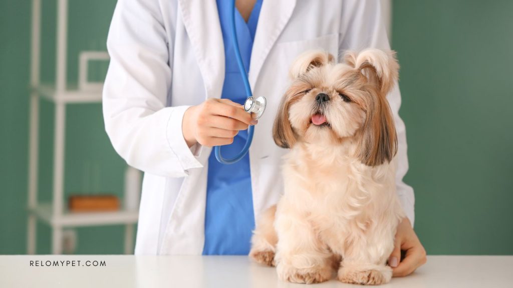 Veterinary Checks before the manifested cargo travel for every pet