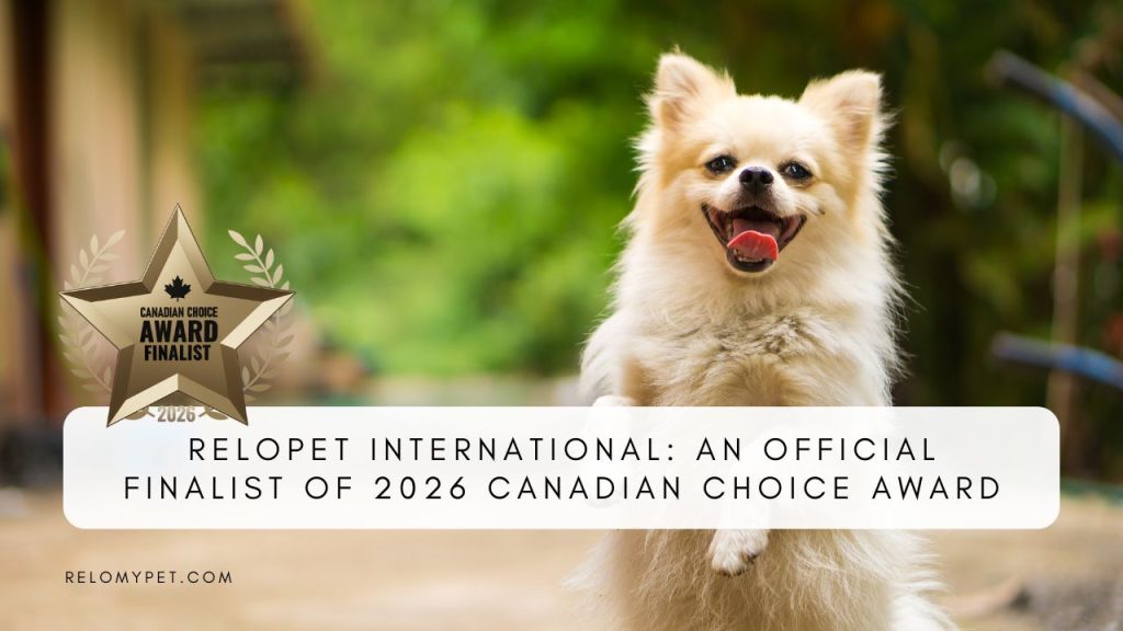 From Nominee to Finalist, The Journey So Far. Featured Image