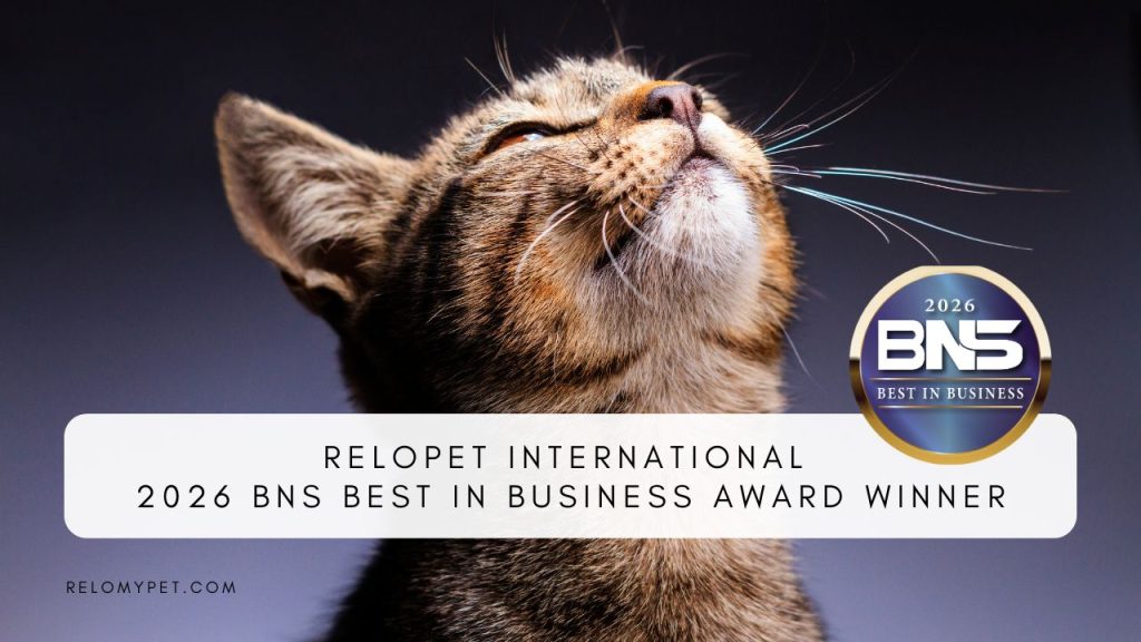 Relopet International 2026 BNS Award Winner. Featured Image