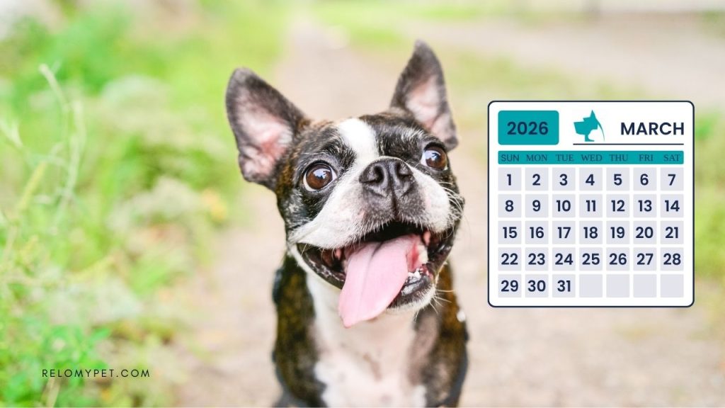 Pet holidays 2026: March