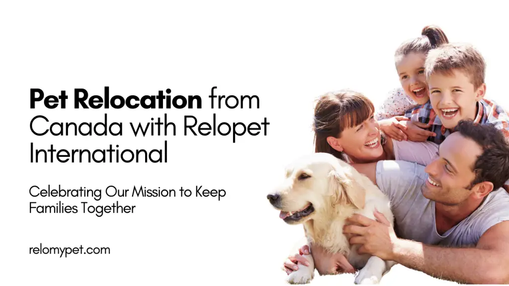 Pet Relocation from Canada with Relopet International. Featured Image