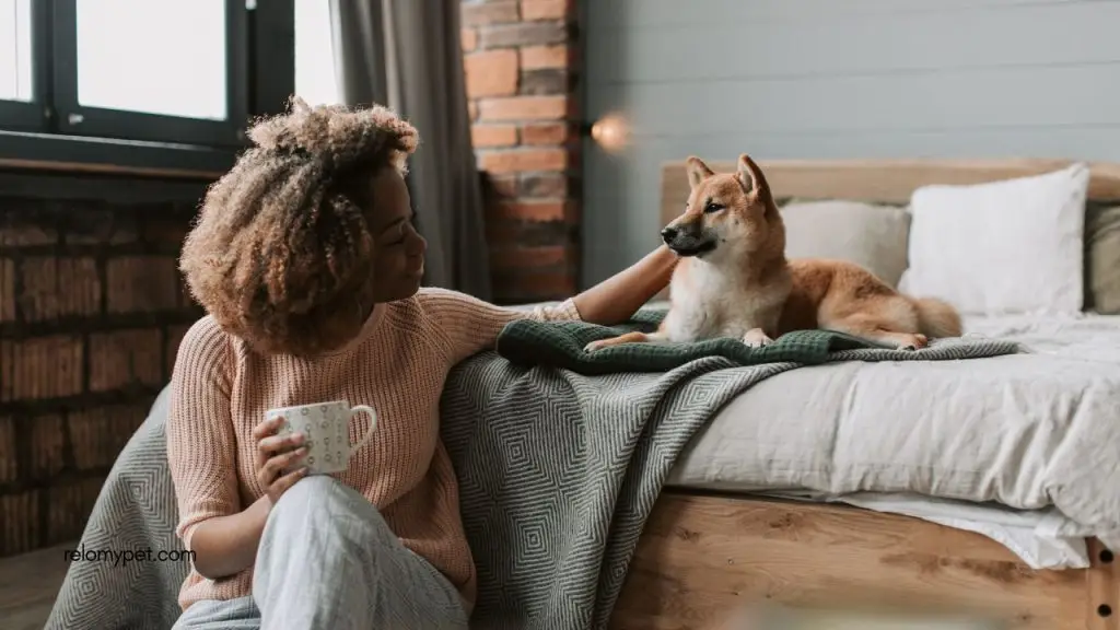 Make your home pet safe