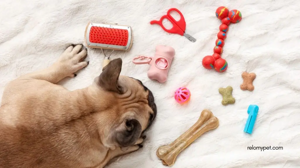 Pet Parent Checklist: Prepare Your Pet's Supplies