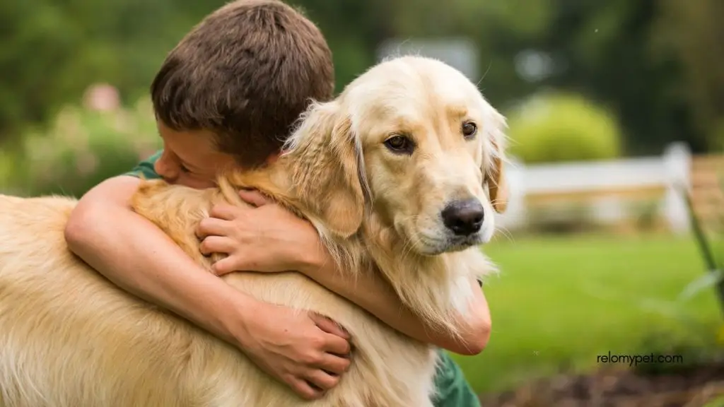 Keep goodbyes calm and positive