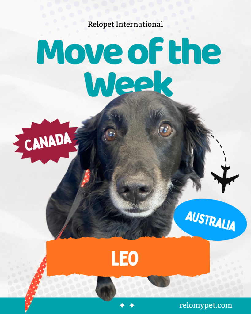 Move of the Week - Leo to Australia