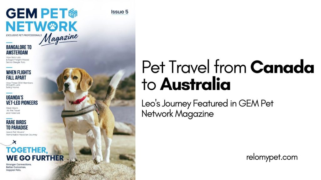 Pet Travel from Canada to Australia Leo's Journey Featured in GEM Pet Network Magazine. Featured Image