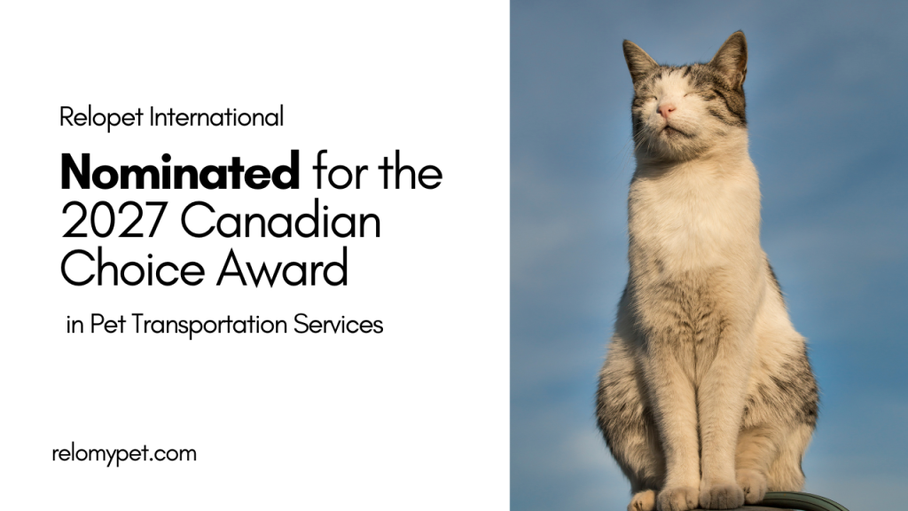 Relopet International Nominated for the 2027 Canadian Choice Award in Pet Transportation Services. Cover Image